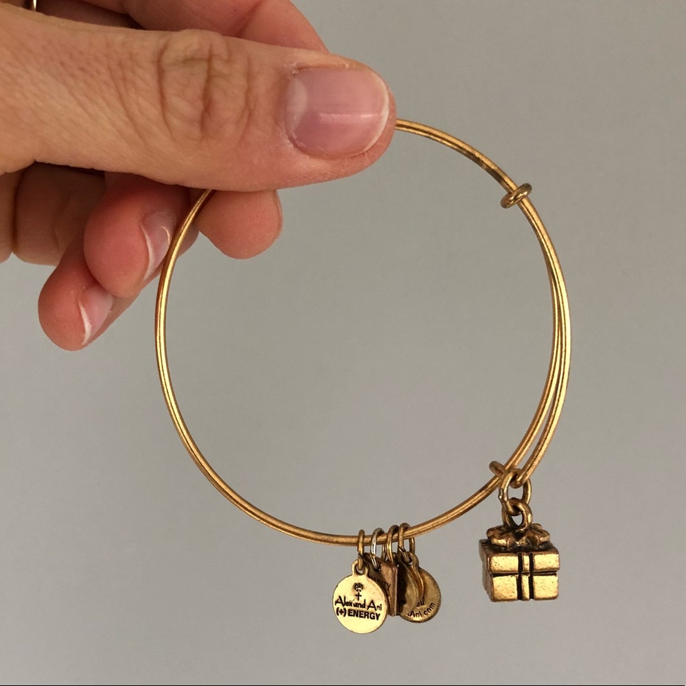Alex and Ani Present Charm Bracelet